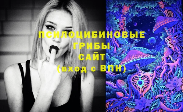 дживик Аркадак